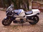 FZR